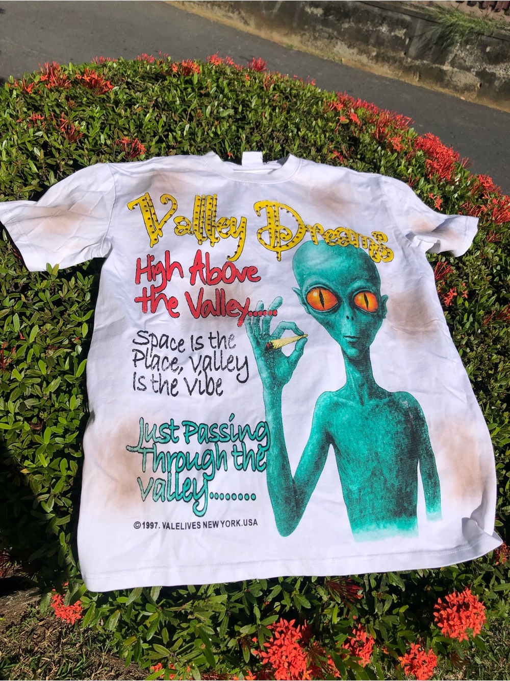 Valley Dreams Graphic Tee with Green Alien Print - White